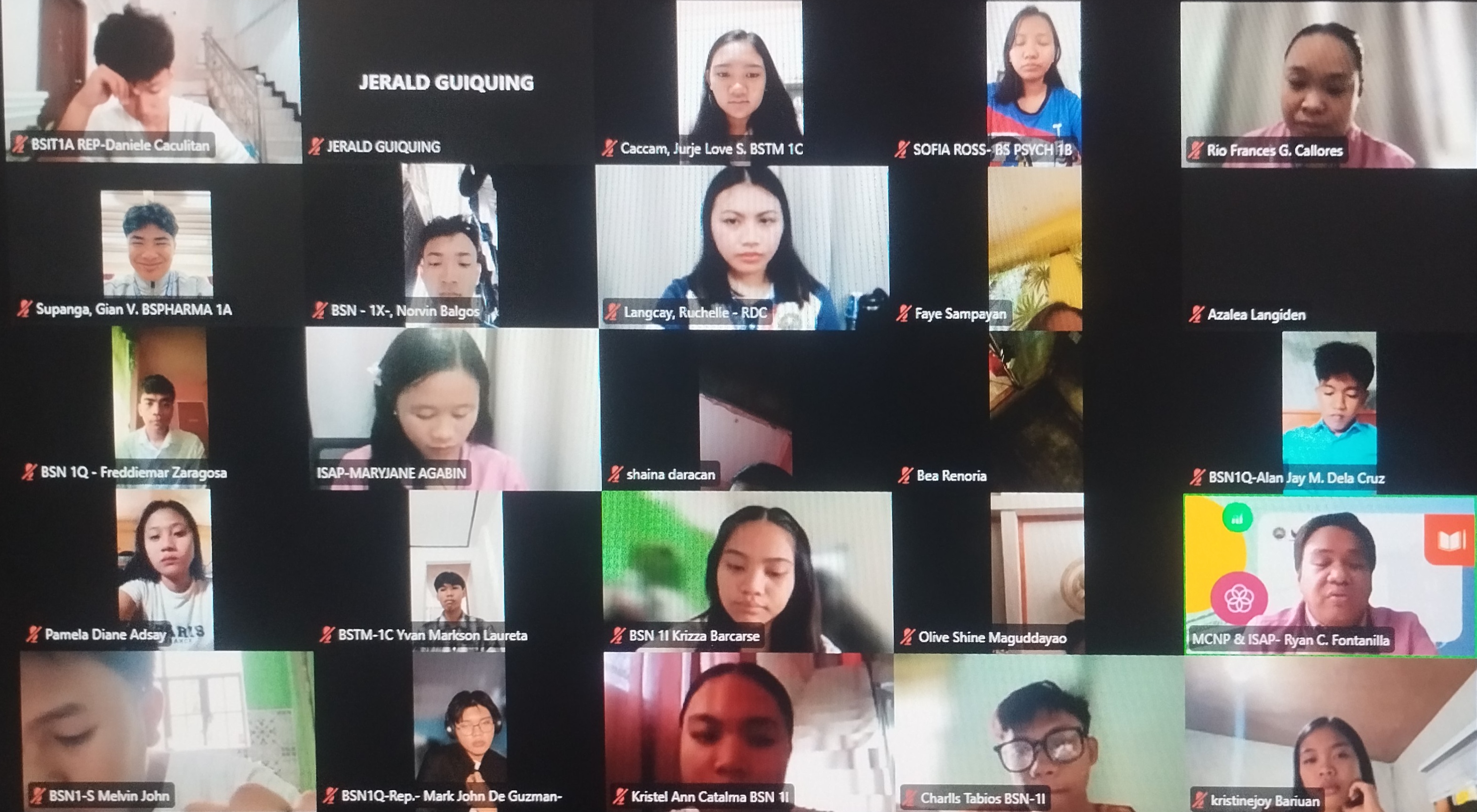 Webinar screen documentation with student researchers