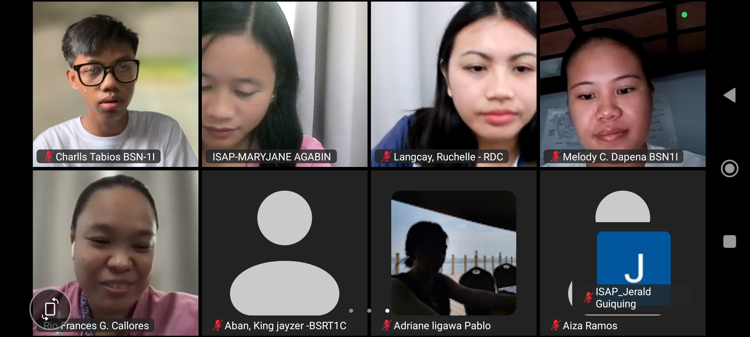 Webinar open forum and discussion on making data meaningful
